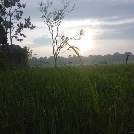 Sigiriya Paddy Field Hut Villa Cameră foto