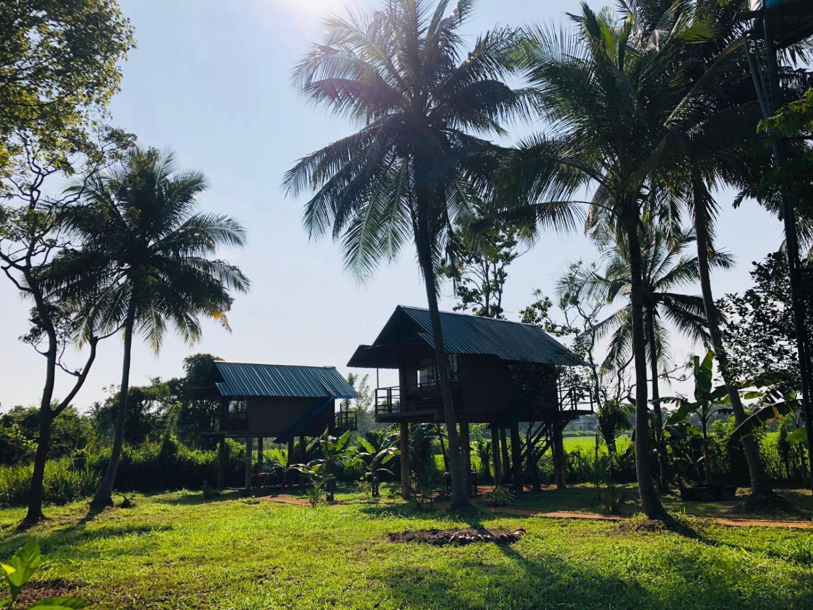 Sigiriya Paddy Field Hut Villa Cameră foto